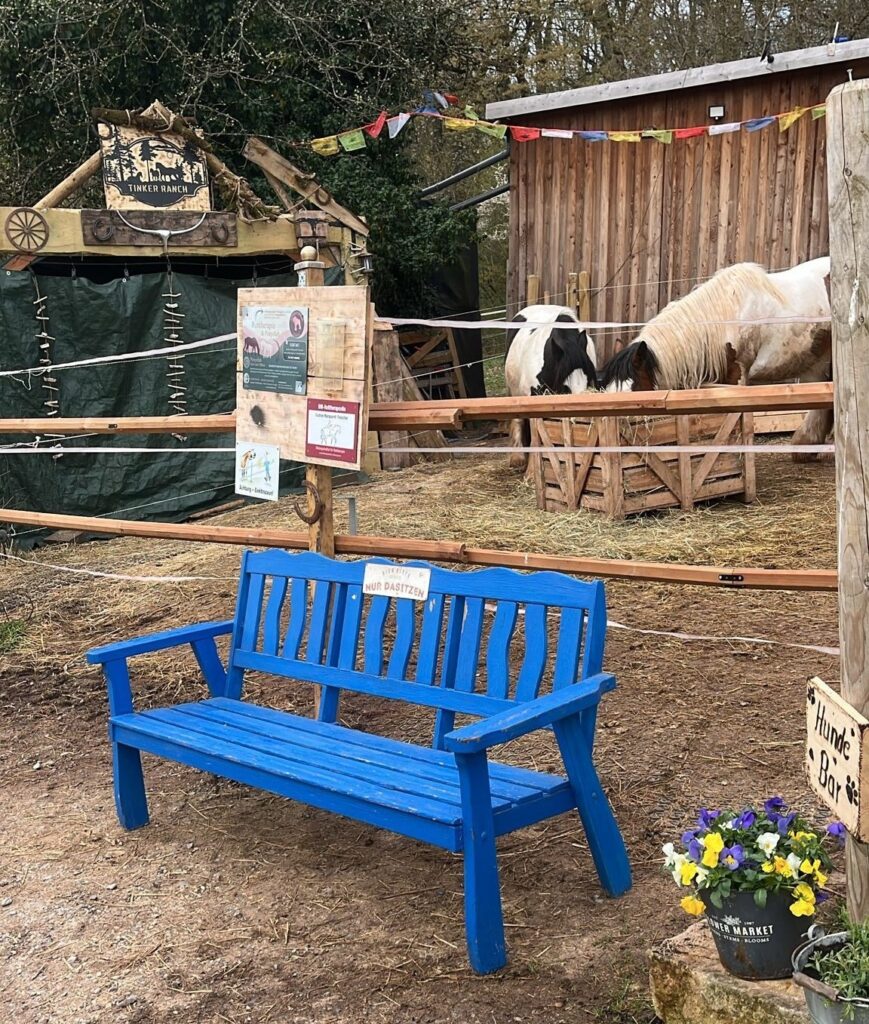 Blick auf die Tinker Ranch mit Pferden, Holzstall und Sitzbank.